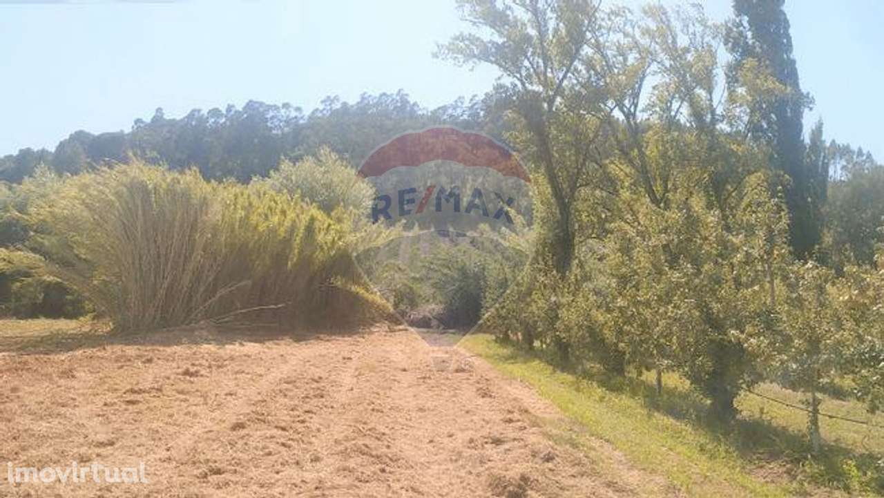 Terreno  para venda - Grande imagem: 3/5