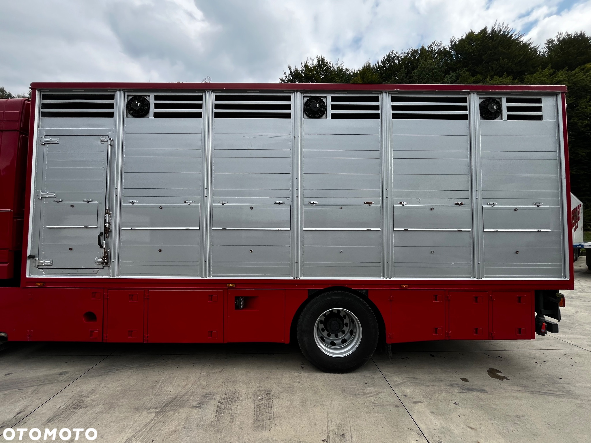 DAF XF 105.460 Euro 5 // Manual // Retarder // Do Żywca / Bydła / Zwierząt / - 14