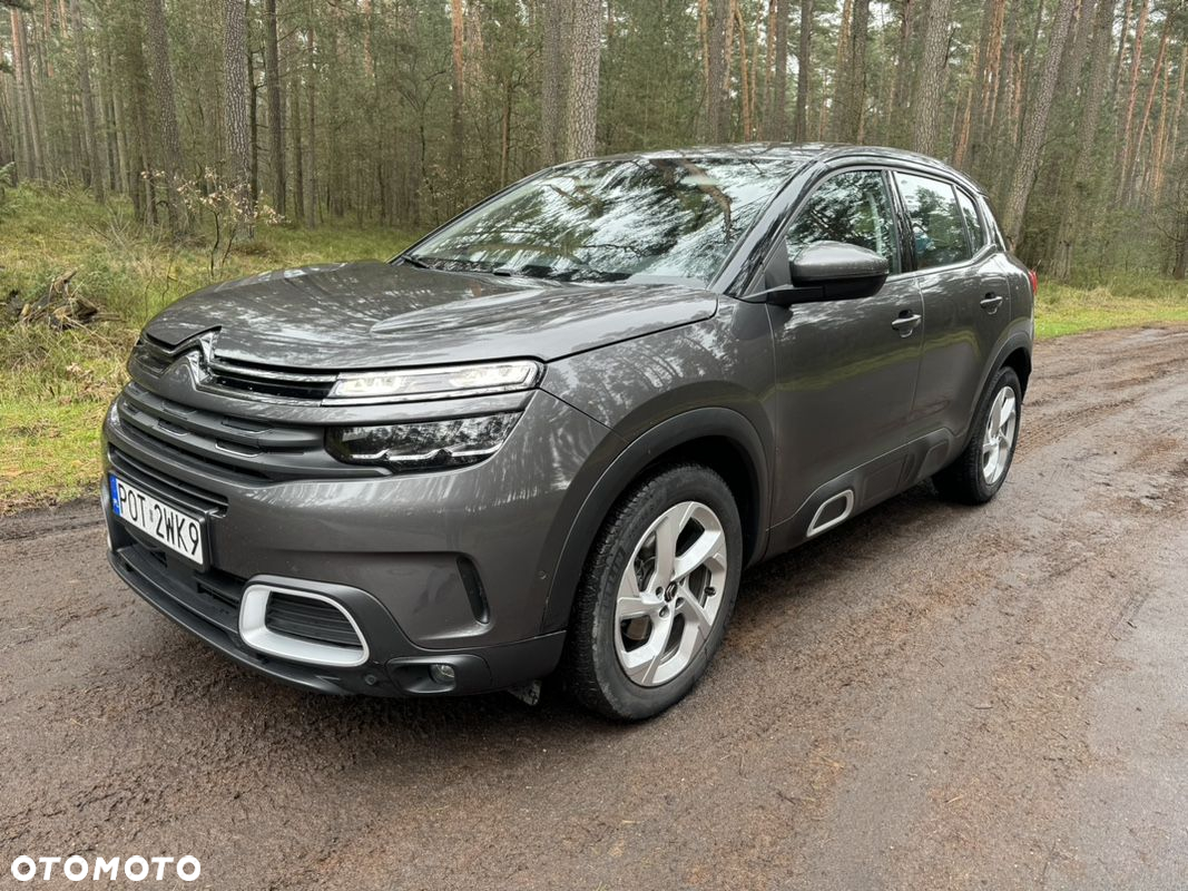 Citroën C5 Aircross BlueHDI 130 S&S EAT8 SHINE PACK - 12