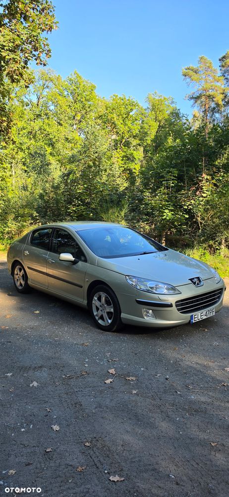 Peugeot 407 - 2