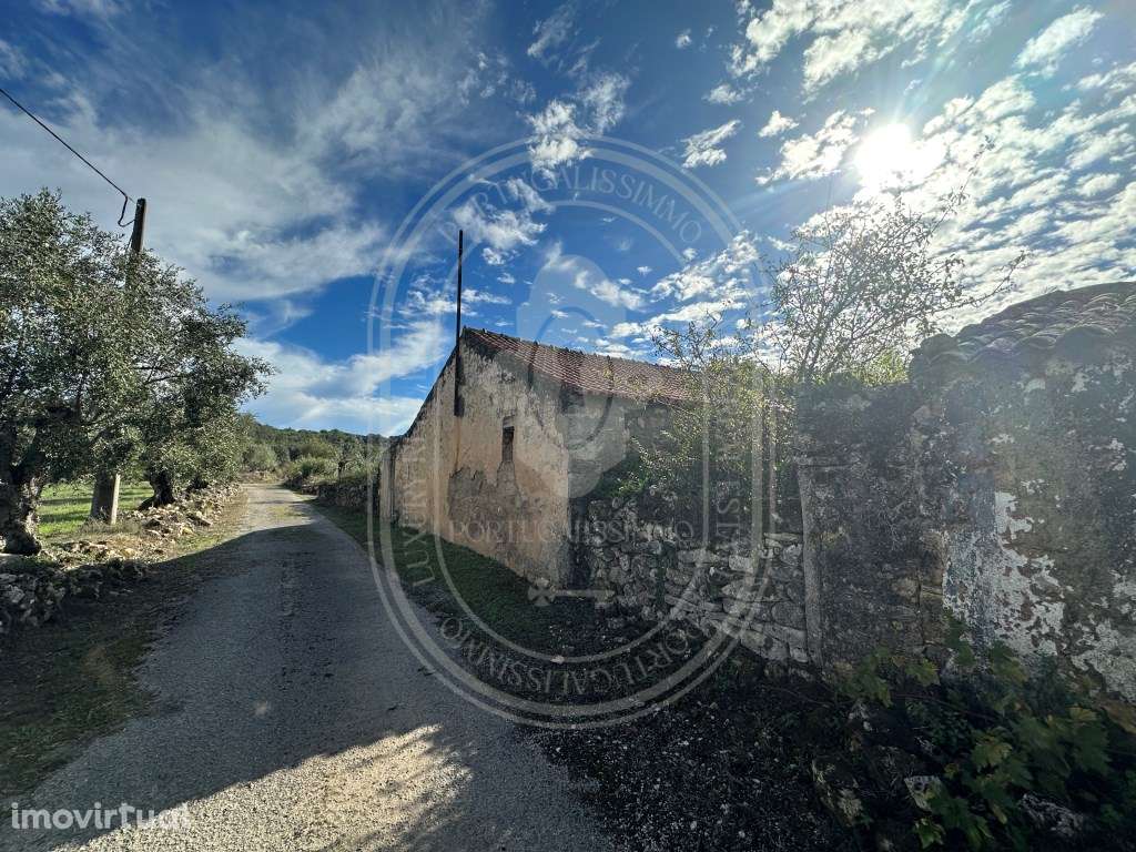 Encantadora quinta para renovar com 11.600 m² de terreno com olivei... - Grande imagem: 4/34