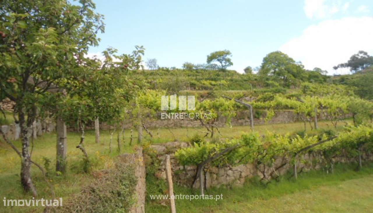 Venda Terreno, Penha Longa, Marco de Canaveses - Grande imagem: 5/21