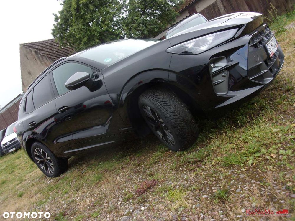 Cupra Terramar - 6