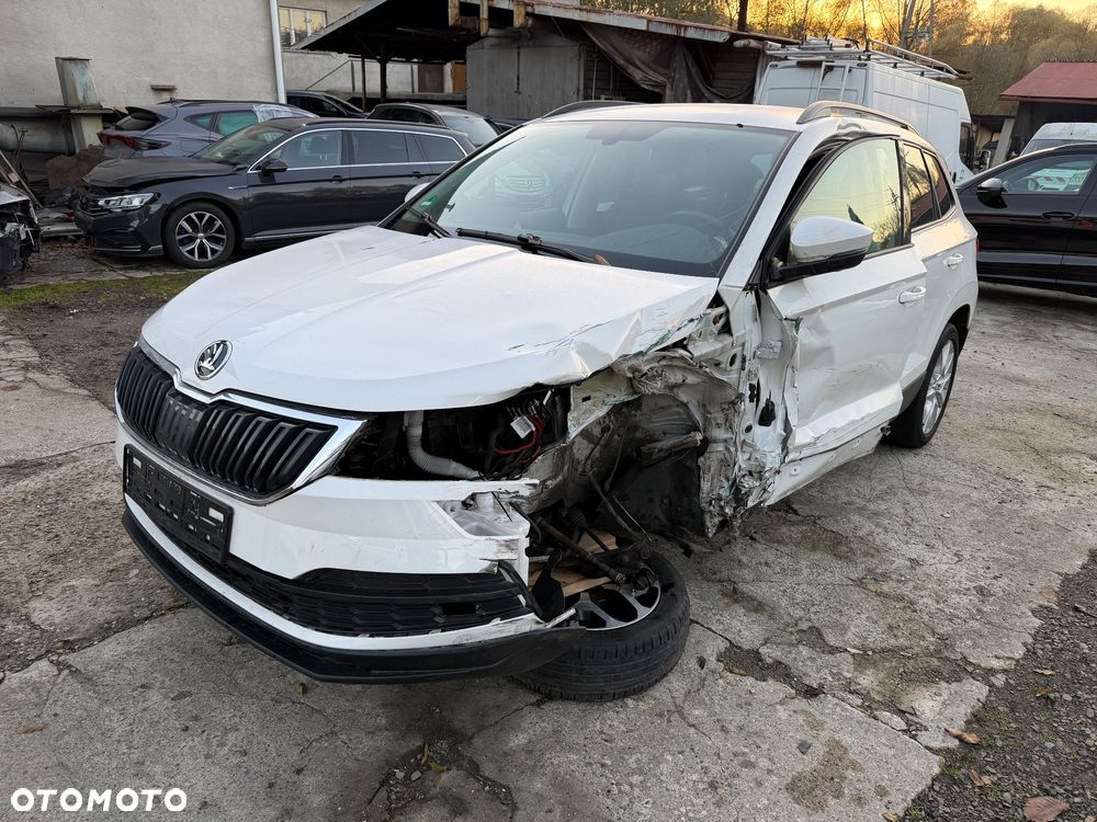 Skoda Karoq 2019 photo 5