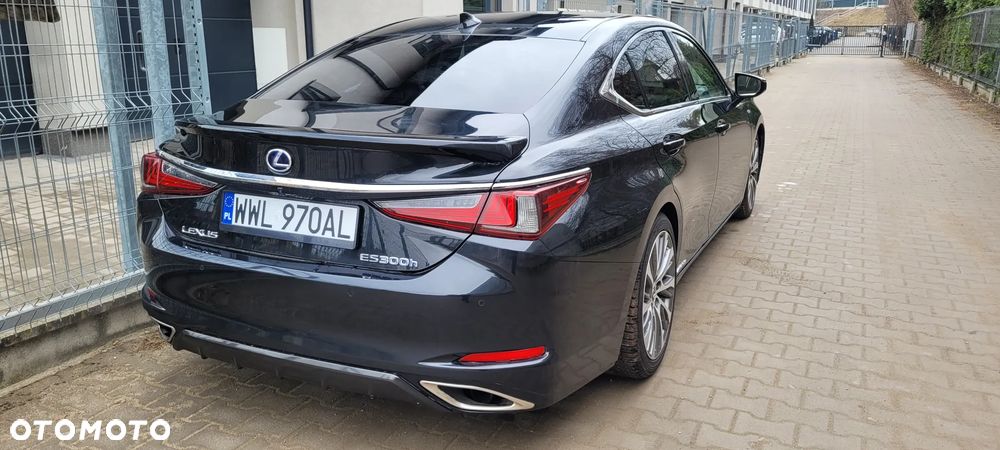 Lexus ES 300h Business Edition + - 6