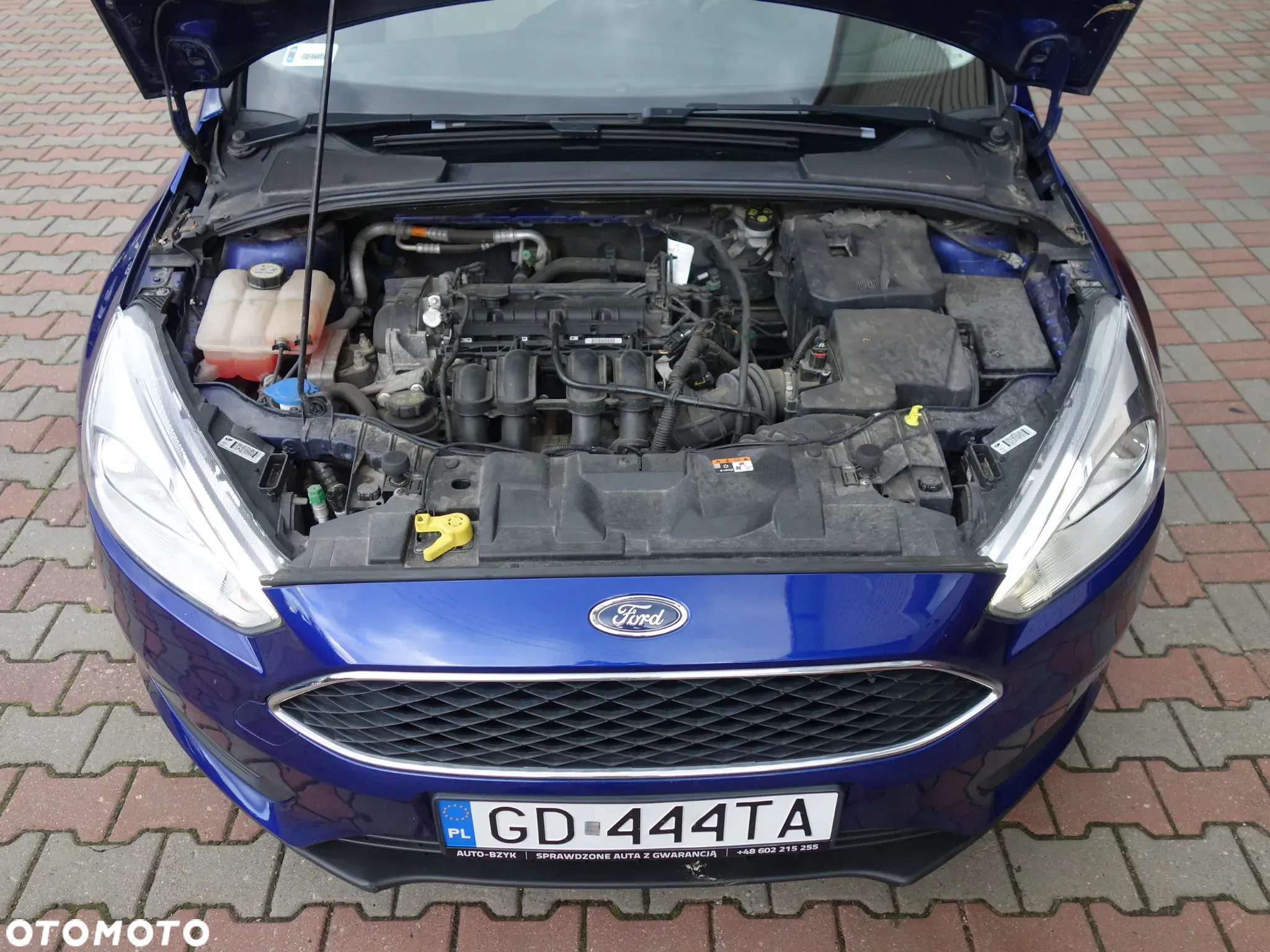 Ford Focus 1.6 Platinium X - 6