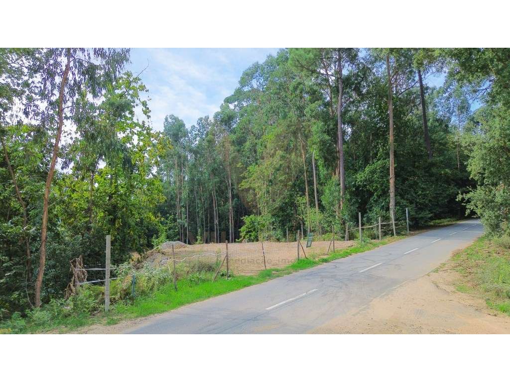 Terreno 3050m² para Construção | Fornelos - Ponte de Lima - Grande imagem: 5/8