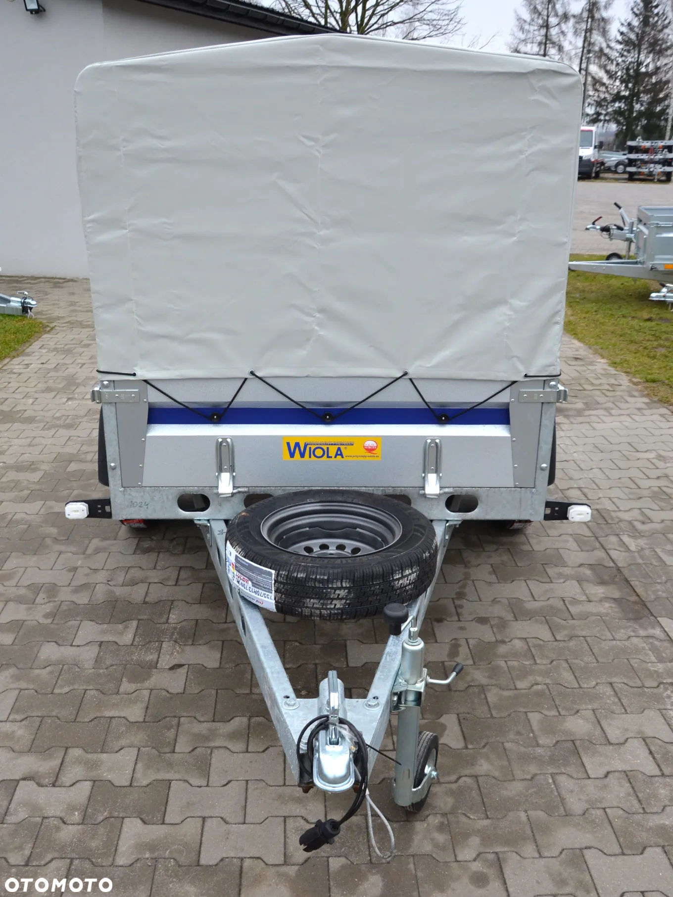 Wiola Kujawiak - 15