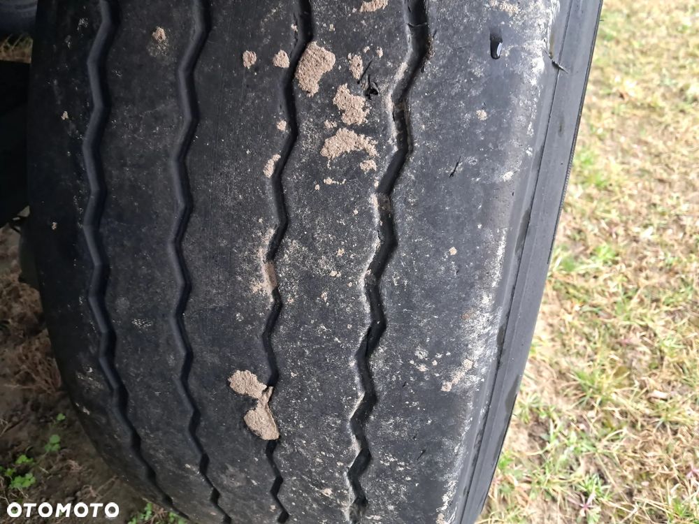 Schmitz Cargobull Chłodnia - 6