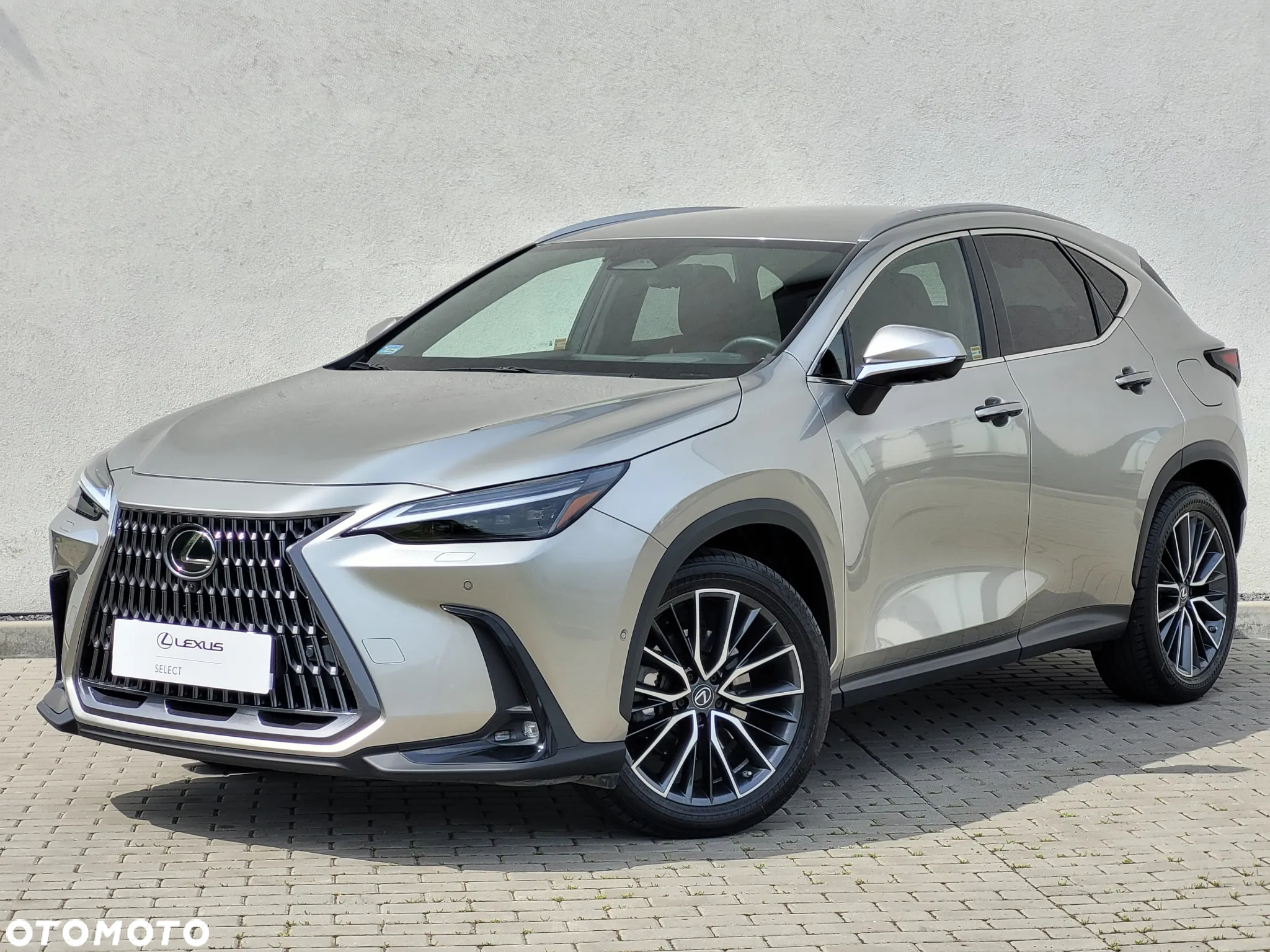 Lexus NX 450h+ Omotenashi AWD - 2