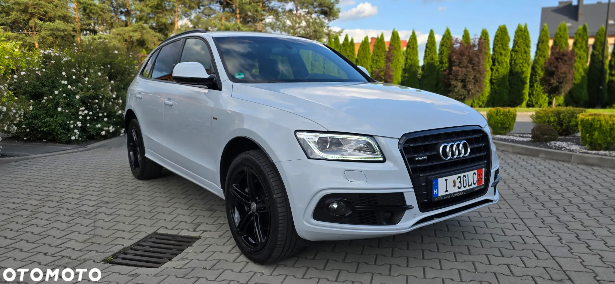 Audi Q5 2.0 TDI clean diesel Quattro - 12