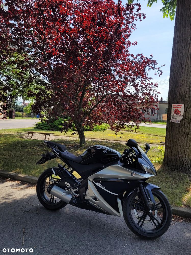 Yamaha YZF - 2
