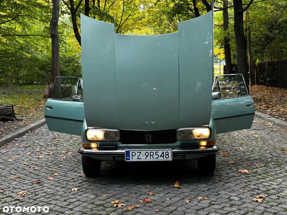 Peugeot 504 - 17