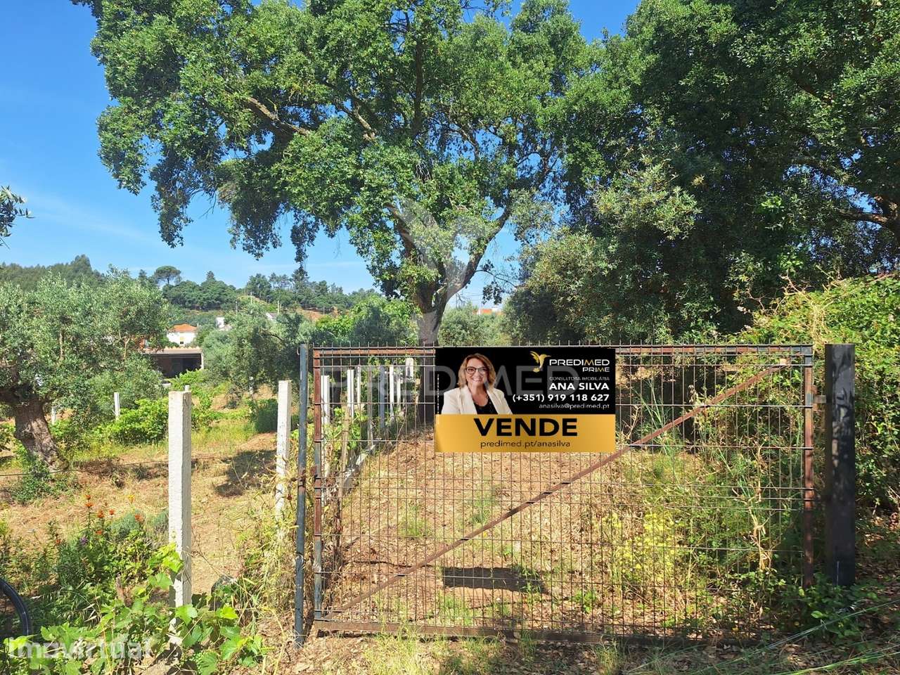 Terreno, Madeiras, Vila Nova da Barquinha - Grande imagem: 2/24