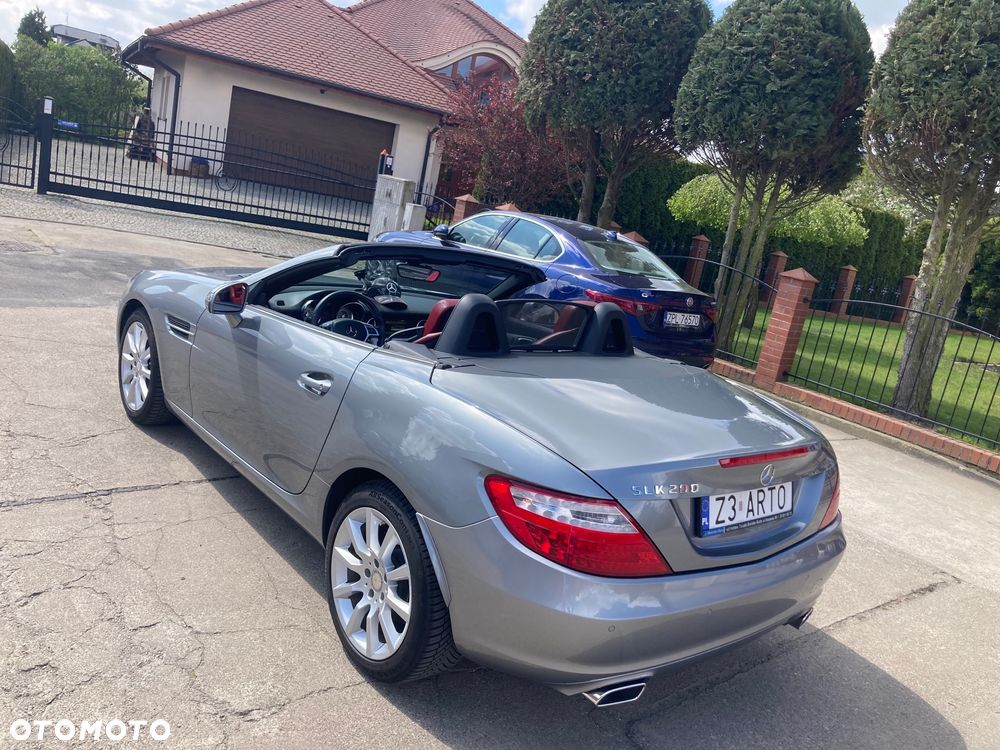 Mercedes-Benz SLK - 7