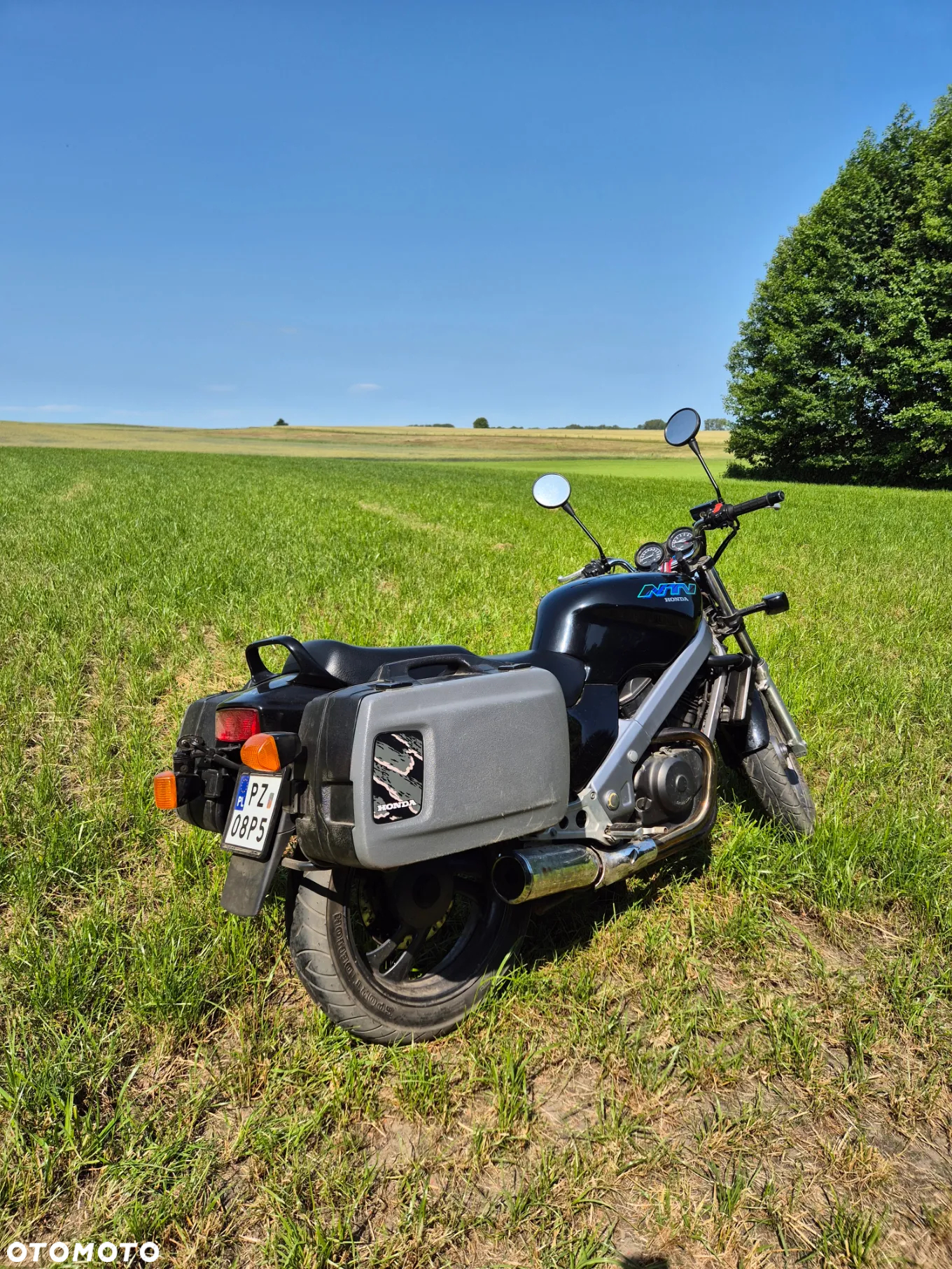 Honda NTV - 3