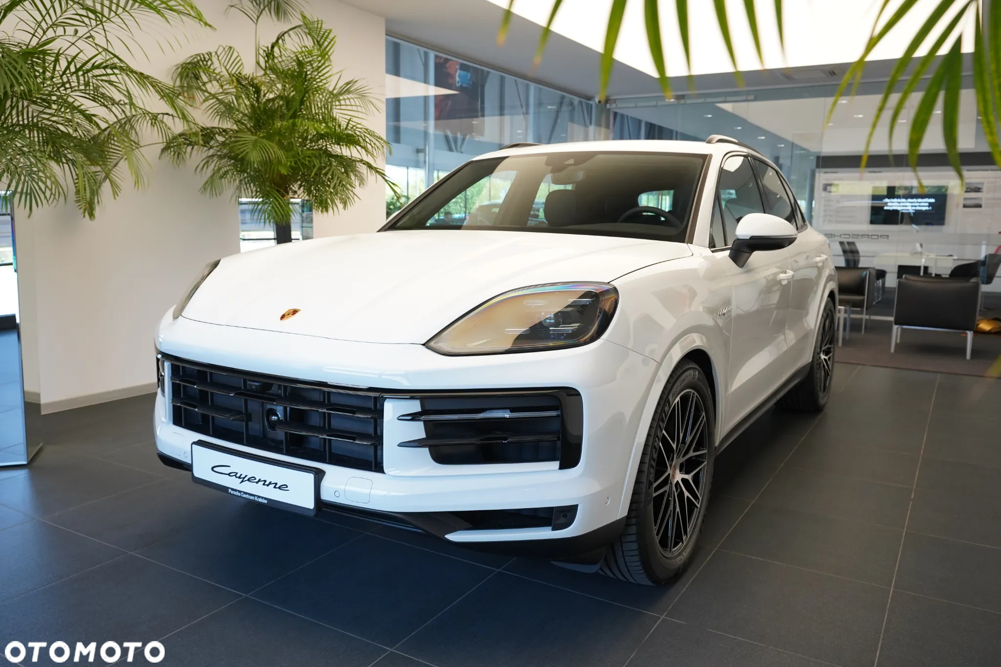 Porsche Cayenne E-Hybrid - 6
