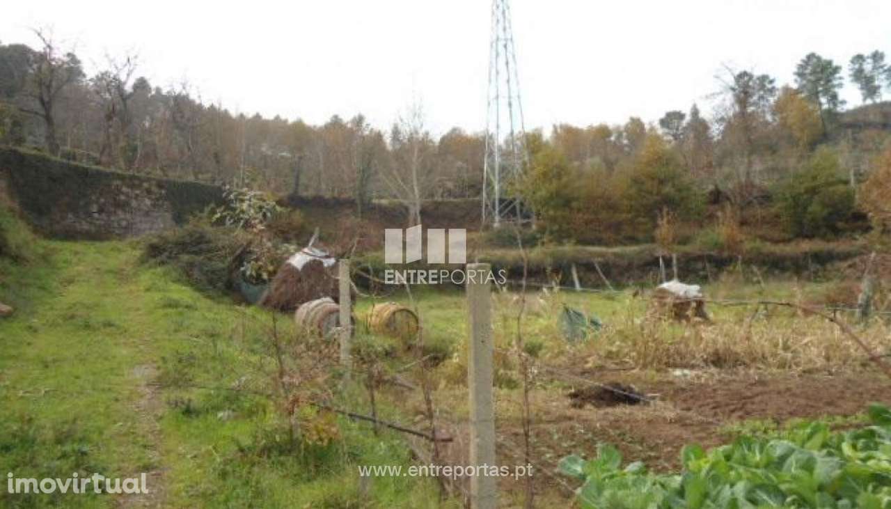 Venda Terreno, São Cristóvão de Nogueira, Cinfães - Grande imagem: 2/13
