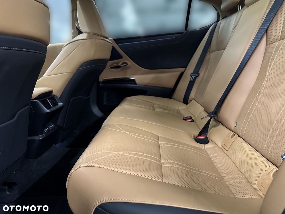 Lexus ES 300h Prestige - 10