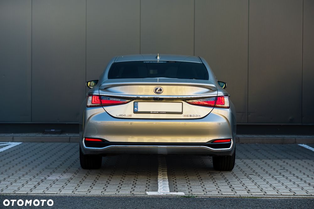 Lexus ES 300h Business Edition + - 5
