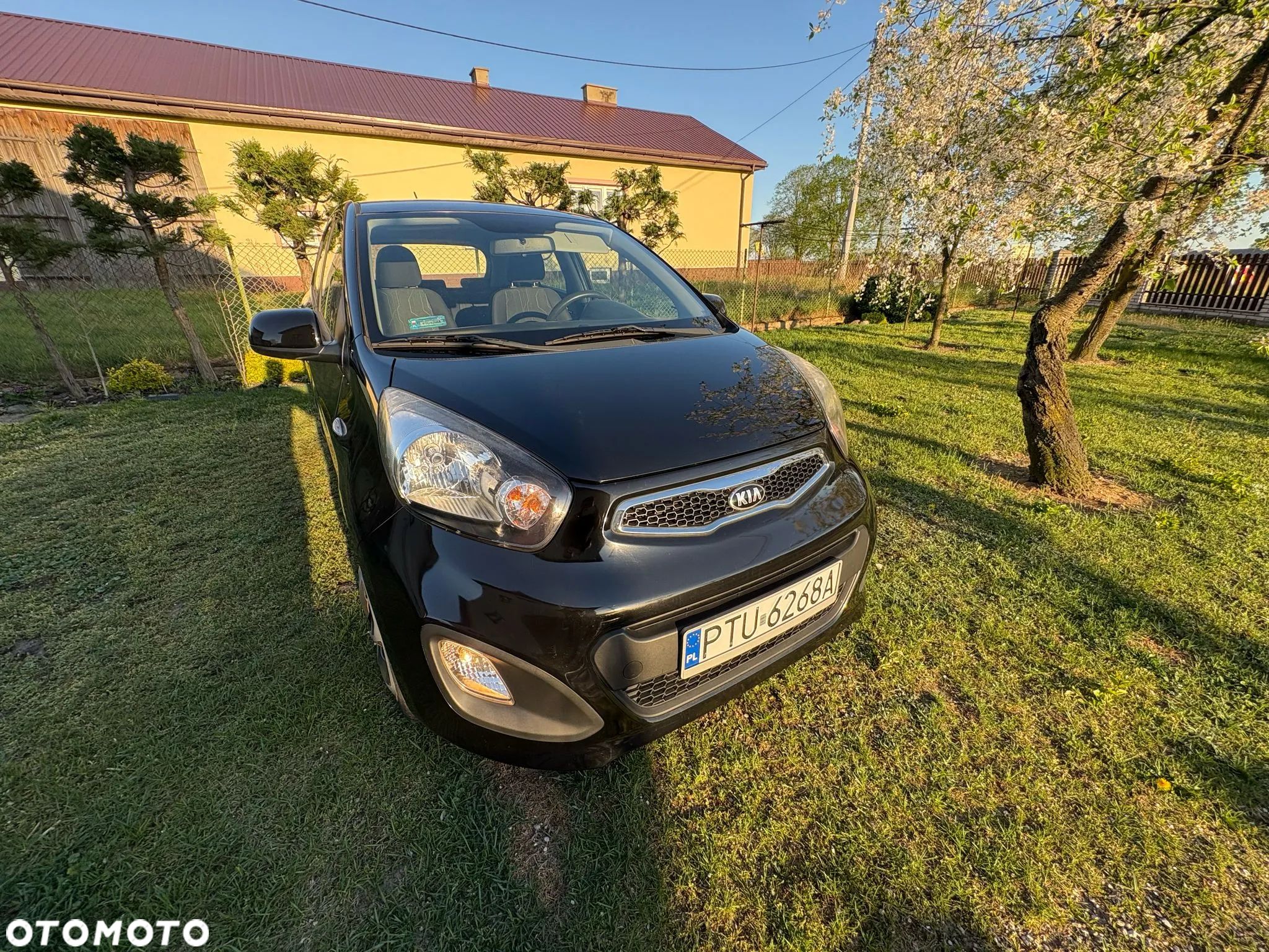 Kia Picanto - 1