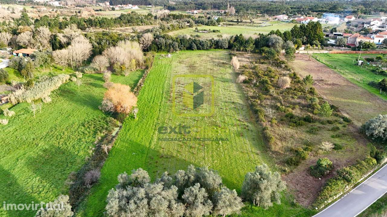 Terreno - Grande imagem: 4/7