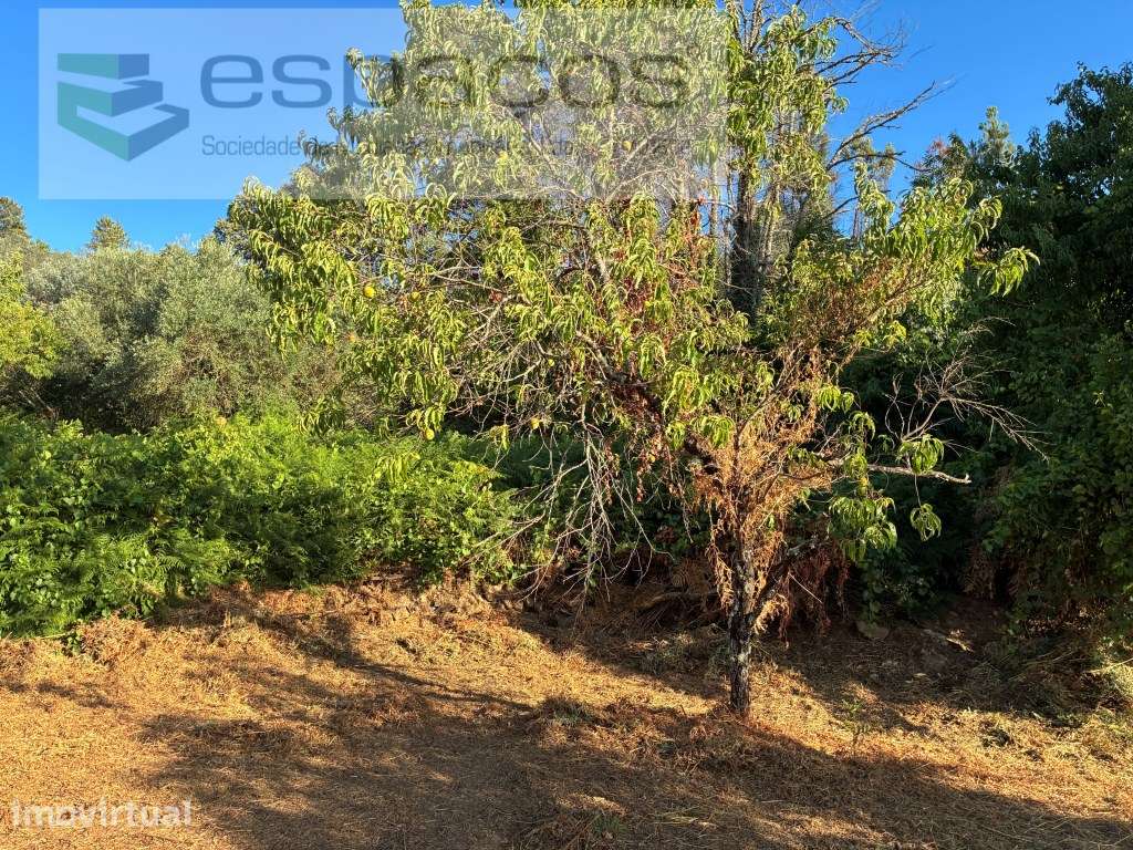 Terreno em Lavacolhos - Grande imagem: 3/14