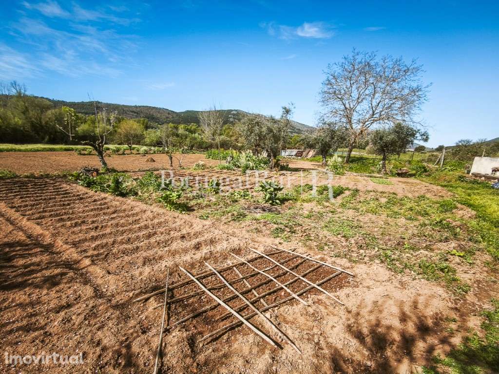 Quinta de 5.750 m² com Moradia T3 em Marvão - Grande imagem: 5/41