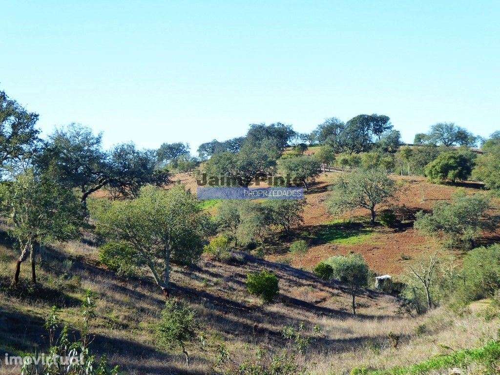 170HA com cortiça e casa na Serra do Caldeirão. Portugal. Alentejo,... - Grande imagem: 5/9