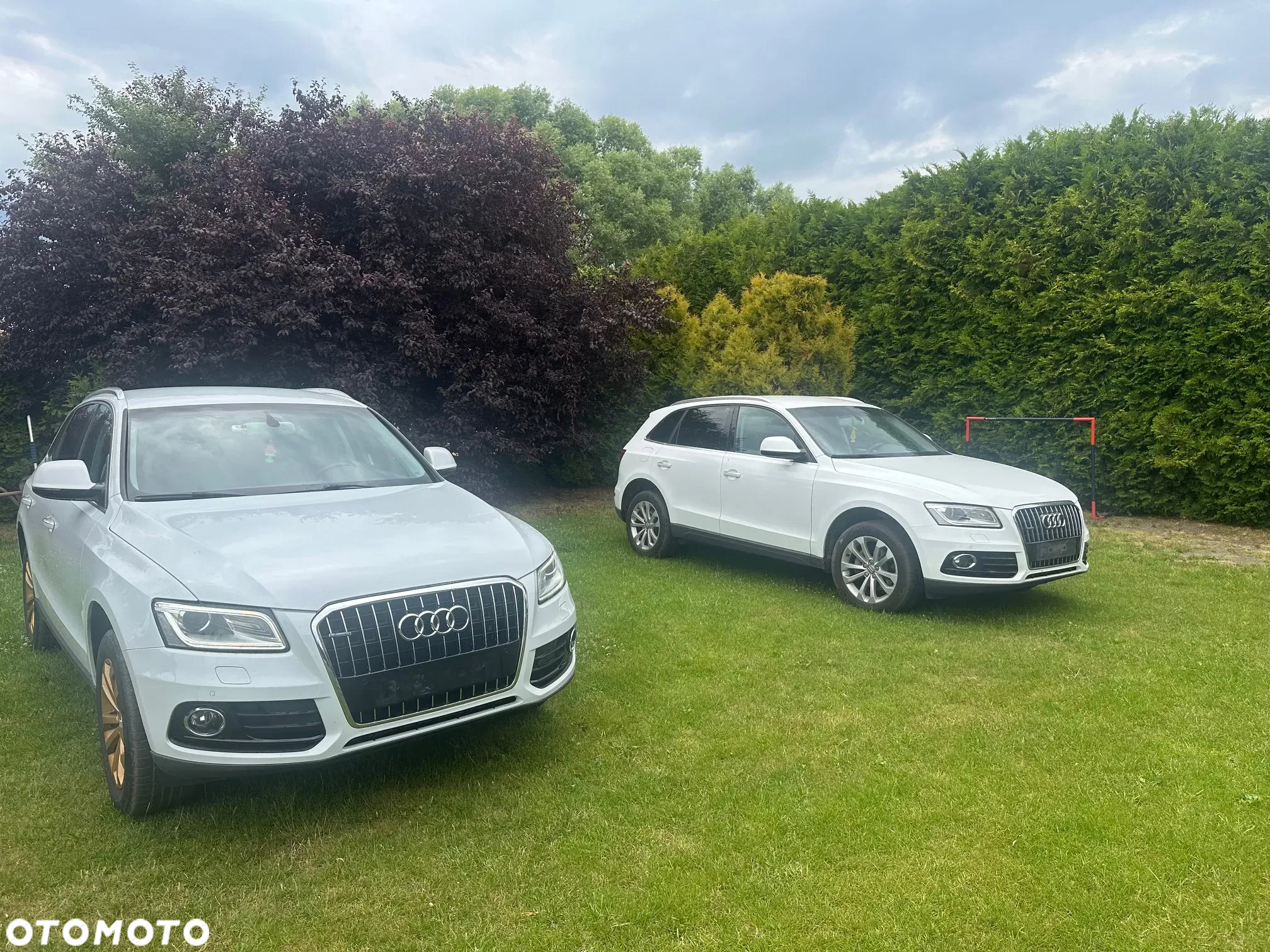 Audi Q5 2.0 TDI clean diesel Quattro S tronic - 19