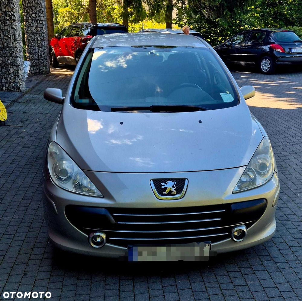 Peugeot 307 - 5