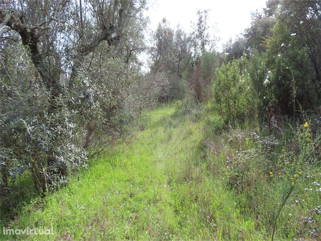 Quinta  para venda - Grande imagem: 3/17