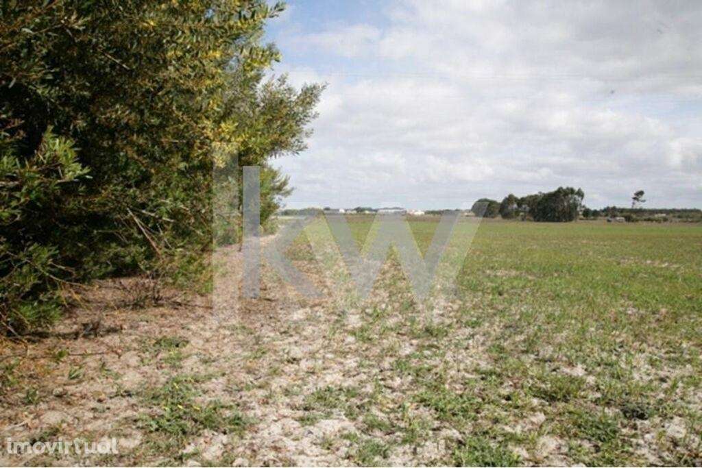 Seisseira - Grande imagem: 2/7