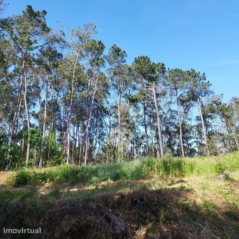 Terreno Rustico 6844 m2 para construção em Souto , Stª Maria da Feira - Grande imagem: 3/21