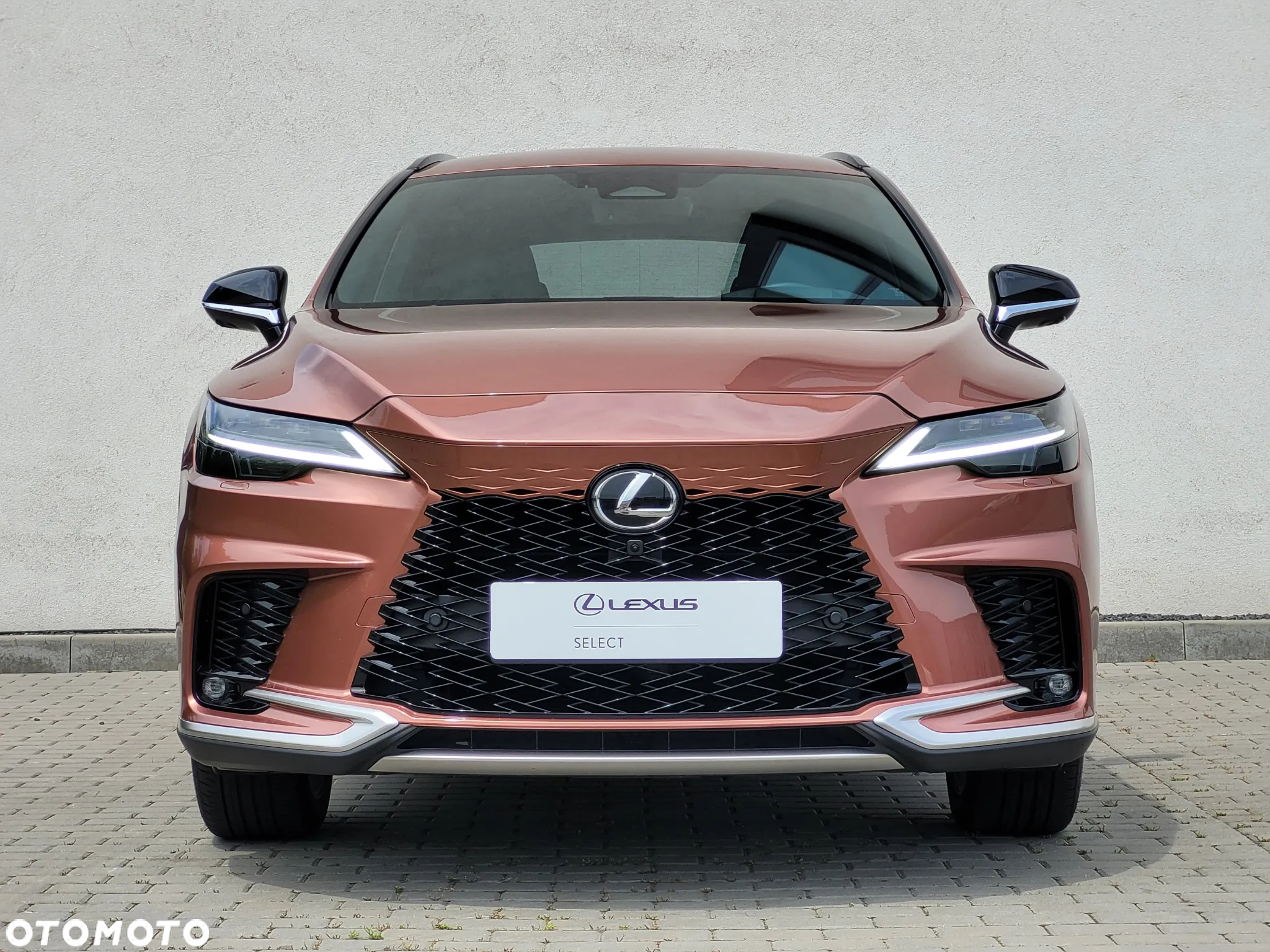Lexus RX 350h F Sport Design - 17