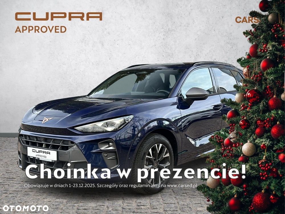 Cupra Terramar - 2