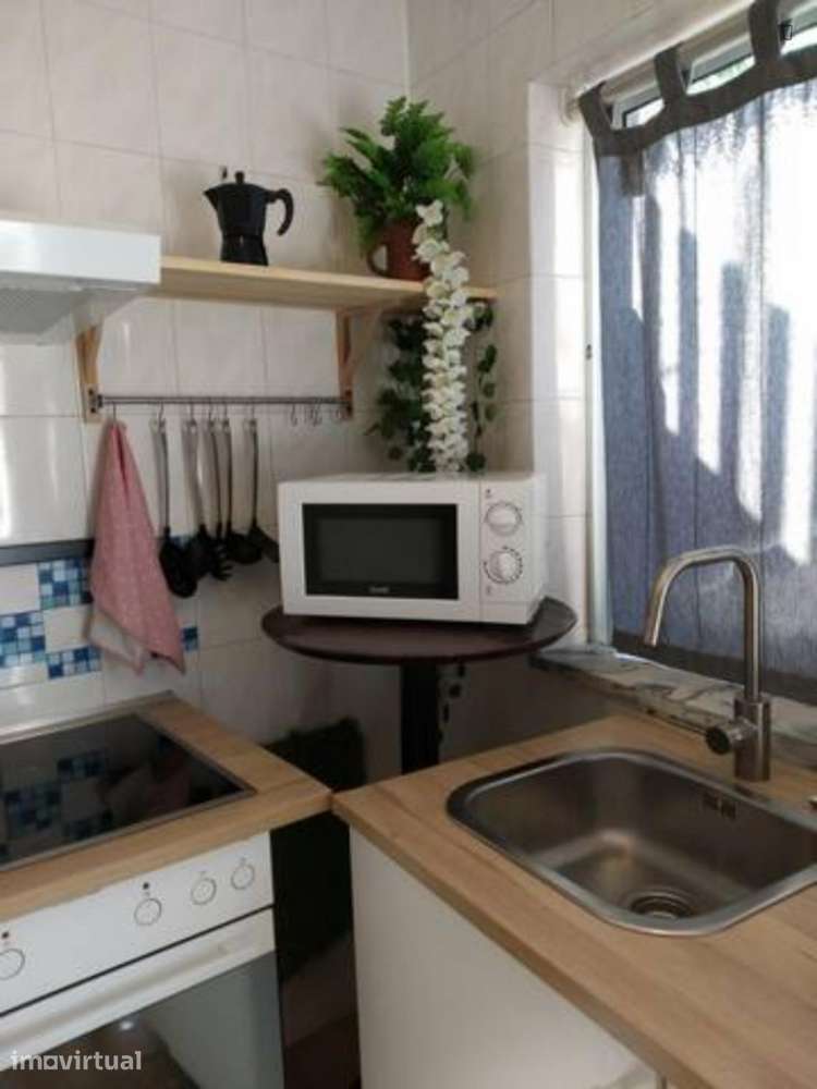 Estúdio - localizado em Braga - Grande imagem: 4/12