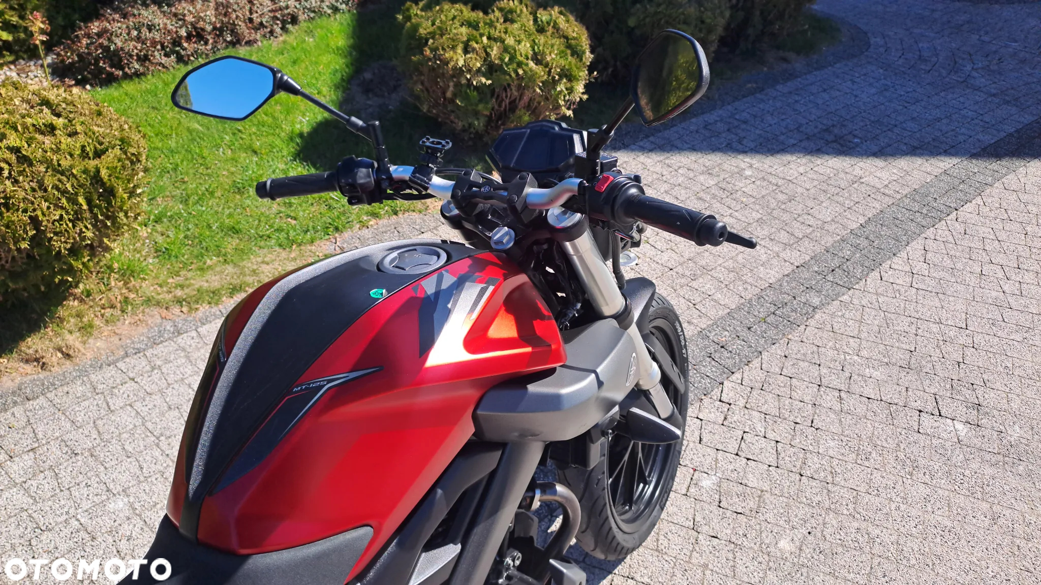 Yamaha MT - 17