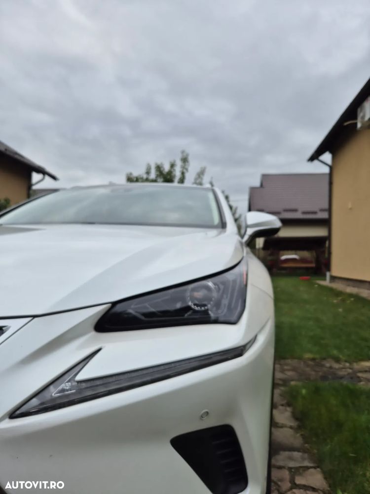 Lexus Seria NX - 1