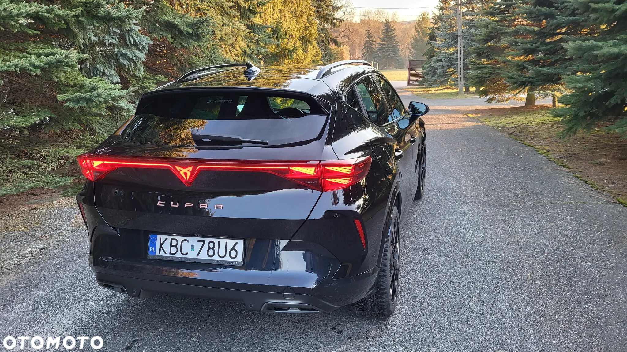 Cupra Formentor 1.5 TSI DSG - 4