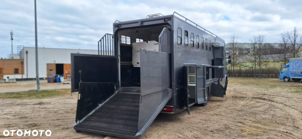Scania Koniowóz 7-koni + living - 8