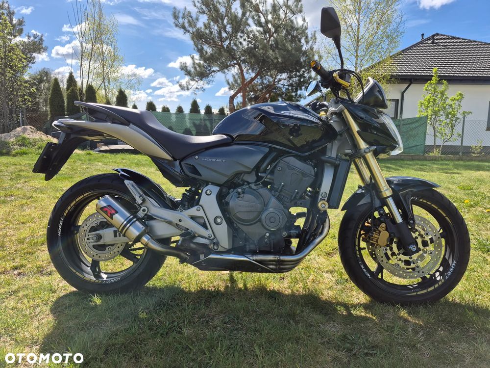 Honda Hornet - 3
