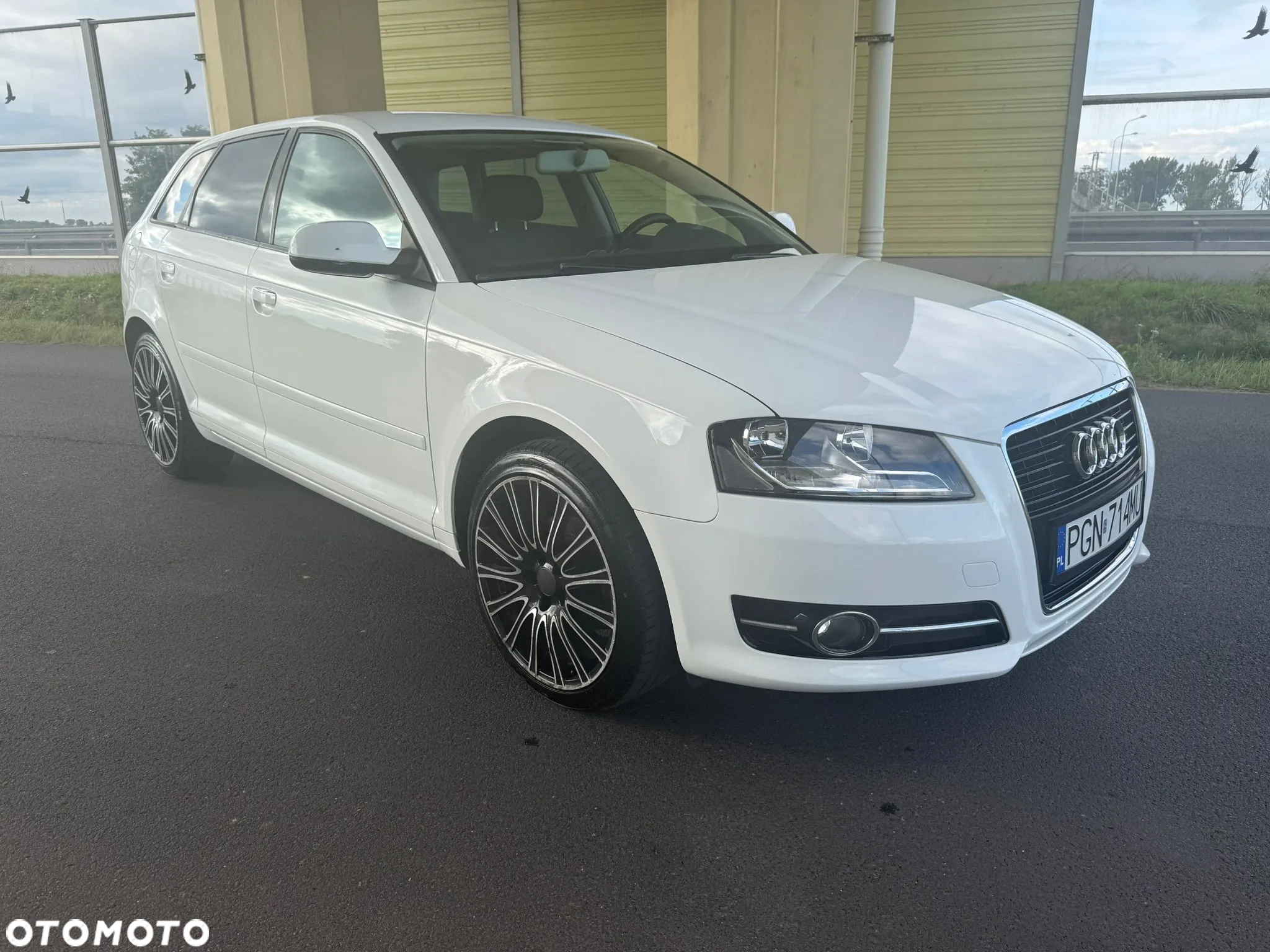 Audi A3 Sportback 1.6 Attraction - 11