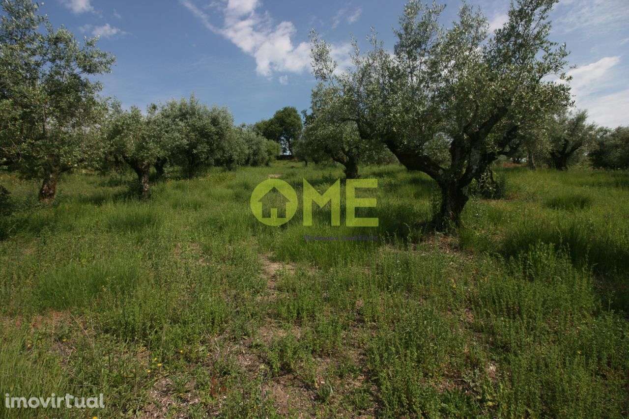 Terreno com 2880m2 - Grande imagem: 4/6