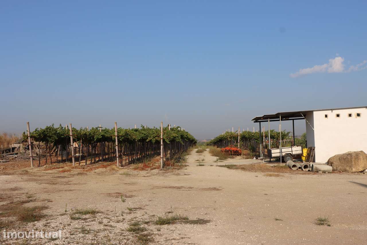 Quinta com 7,3 hectares em São Vicente do Paúl – Santarém | - Grande imagem: 5/7