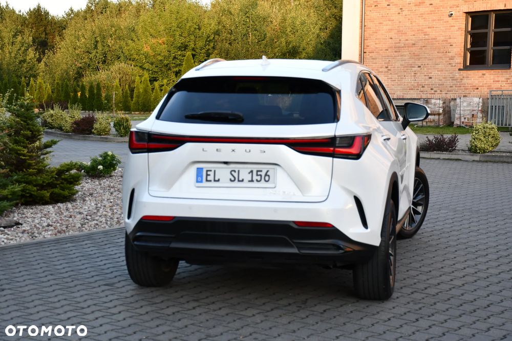 Lexus NX - 13
