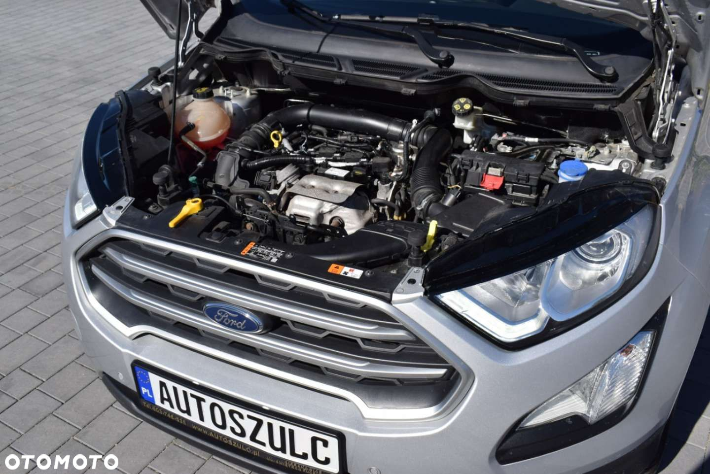 Ford EcoSport - 15