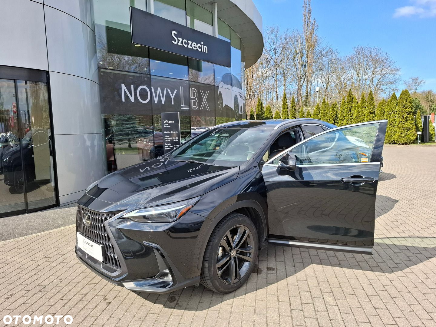 Lexus NX - 9