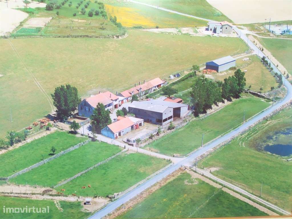 Quinta com moradia e terreno agrícola - Boidobra - Covilhã - Grande imagem: 2/51
