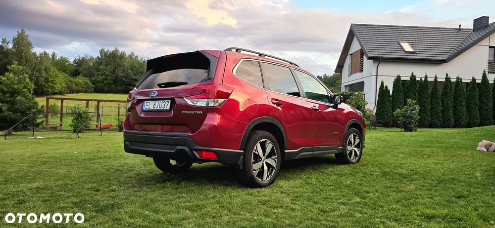 Subaru Forester - 8